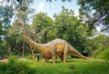 דינו פארק – פארק הדינוזאורים המיוחד עם כל מה שצריך להכיר!